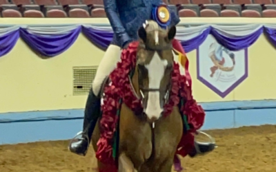 Youth Riding Champion